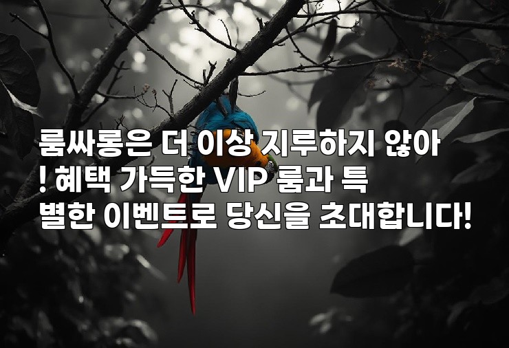 룸싸롱은 더 이상 지루하지 않아! 혜택 가득한 VIP 룸과 특별한 이벤트로 당신을 초대합니다!