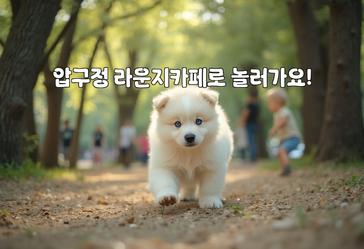 압구정 라운지카페로 놀러가요!