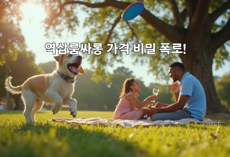 역삼룸싸롱 가격 비밀 폭로!