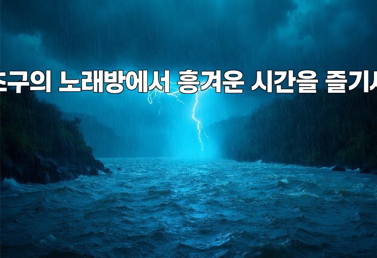 서초구의 노래방에서 흥겨운 시간을 즐기세요