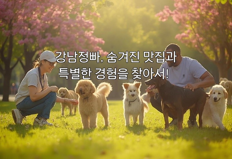 강남정빠, 숨겨진 맛집과 특별한 경험을 찾아서!